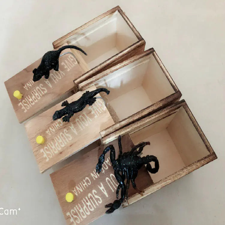 Spider Surprise Prank Box